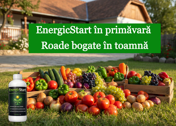 EnergicStart Boost Pornire Plantelor